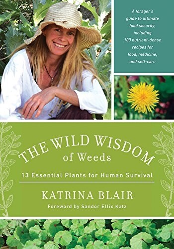 The Wild Wisdom of Weeds: 13 Essential Plants for Human Survival (Paperback)