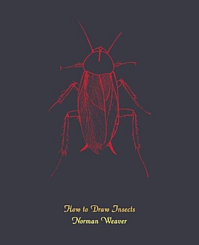 How to Draw Insects (Facsimile Reprint) (Paperback)
