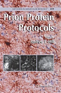 Prion Protein Protocols (Paperback)