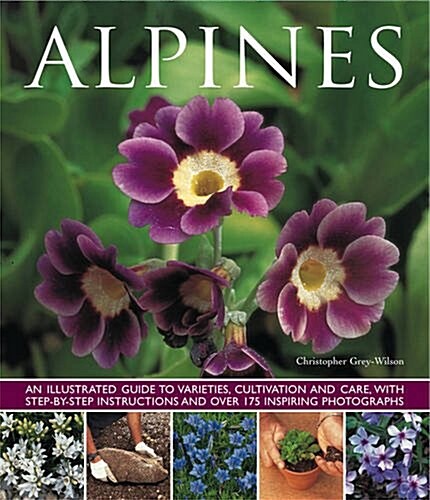 Alpines (Paperback)