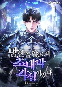 망한 줄 알았는데 초대박 각성이었다 1