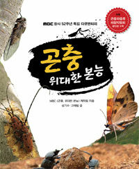 곤충 위대한 본능 :MBC 창사 52주년 기념 다큐멘터리 