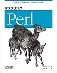 マスタリングPerl (大型本)