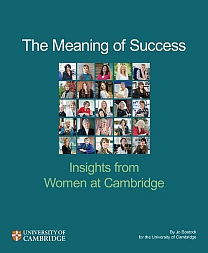 The Meaning of Success (Paperback)