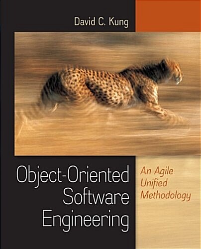 Object-Oriented Software Engineering: An Agile Unified Methodology (Hardcover)