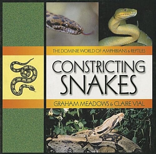 Constricting Snakes (Paperback)