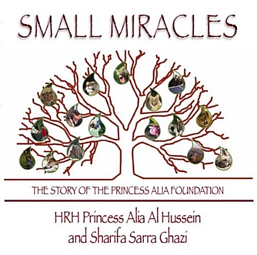Small Miracles : The Story of the Princess Alia Foundation (Hardcover)
