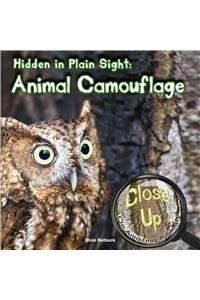 Hidden in Plain Sight (Paperback)