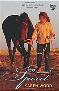 Diamond Spirit: Volume 1 (Paperback)