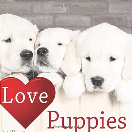 Love Puppies (Hardcover)