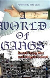 A World of Gangs: Armed Young Men and Gangsta Culture Volume 14 (Paperback)