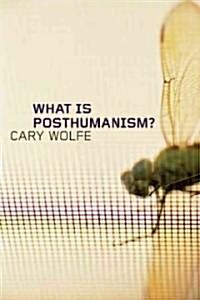 What Is Posthumanism?: Volume 8 (Paperback)