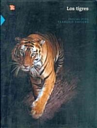 Los Tigres (Hardcover)