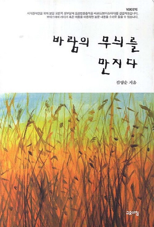 바람의 무늬를 만지다