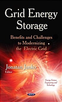 Grid Energy Storage (Hardcover, UK)