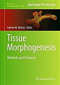 Tissue Morphogenesis: Methods and Protocols (Paperback, 2015)