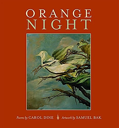 Orange Night (Hardcover)