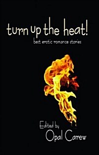 Turn Up the Heat: Best Erotic Romance Novellas (Paperback)