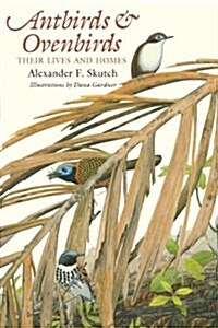 Antbirds and Ovenbirds: Their Lives and Homes (Paperback)