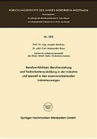 Berufswirklichkeit, Berufserziehung Und Facharbeiterausbildung in Der Industrie Und Speziell in Den Eisenverarbeitenden Industriezweigen (Paperback)