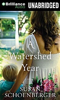 A Watershed Year (MP3 CD)