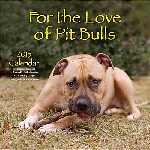 For the Love of Pit Bulls 2015 Calendar (Paperback)