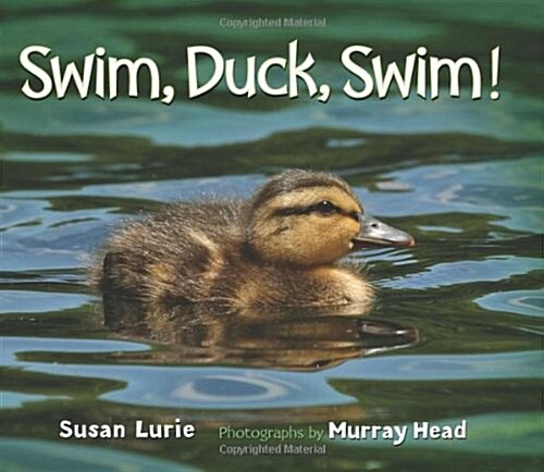 Swim, Duck, Swim! (Hardcover)