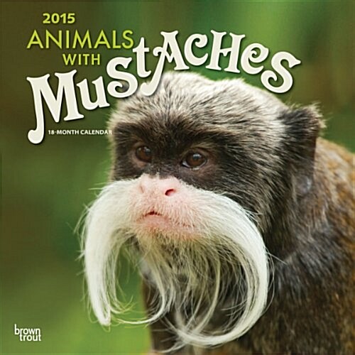 Animals With Mustaches 2015 Calendar (Paperback, Wall)