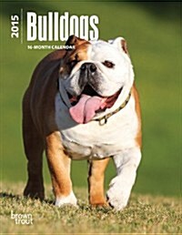 Bulldogs 2015 Calendar (Paperback, Engagement)