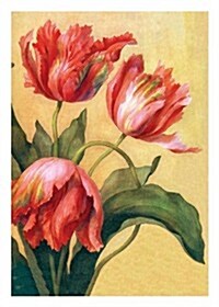 Tulips Thank You Card [With 6 Envelopes] (Loose Leaf)