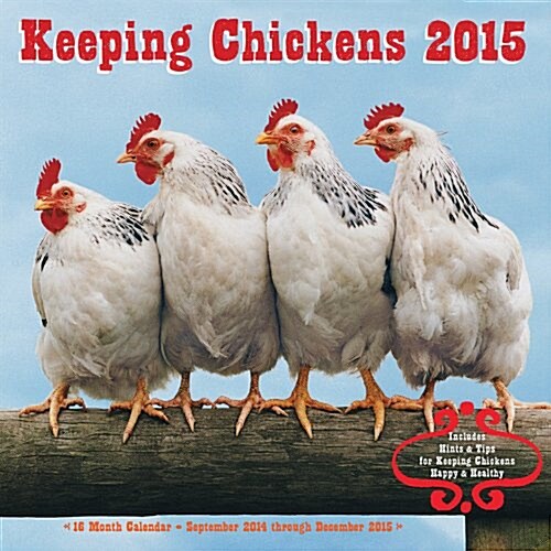 Keeping Chickens 2015 Calendar (Paperback, 16-Month, Wall)