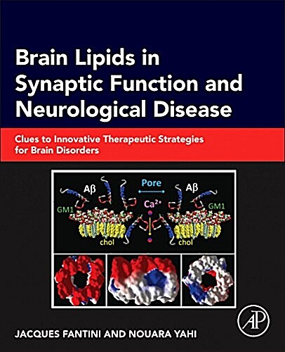 Brain Lipids in Synaptic Function and Neurological Disease: Clues to Innovative Therapeutic Strategies for Brain Disorders (Hardcover)
