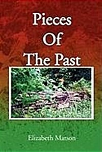 Pieces of the Past (Paperback)