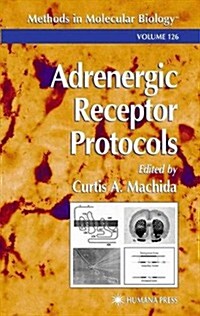 Adrenergic Receptor Protocols (Paperback, Softcover Repri)