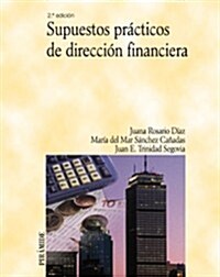 Supuestos pr쟠ticos de direcci줻 financiera / Assumptions of Financial Accounting and Tax Accounting (Paperback, 2nd)