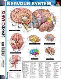 Nervous System (Paperback)