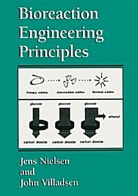 Bioreaction Engineering Principles (Paperback, Softcover Repri)