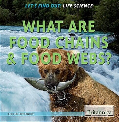 What Are Food Chains & Food Webs? (Library Binding)