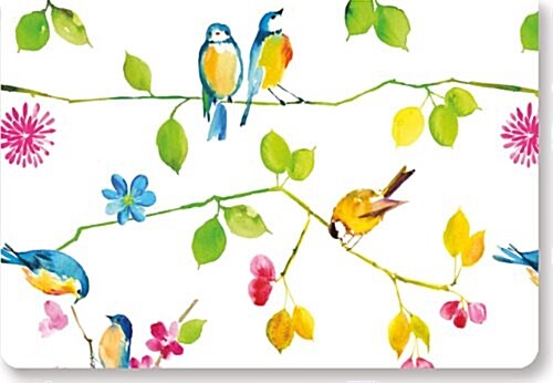 Watercolor Birds Note Cards [With 15 Envelopes] (Loose Leaf)