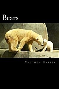 Bears: A Fascinating Book Containing Bear Facts, Trivia, Images & Memory Recall Quiz: Suitable for Adults & Children (Paperback)