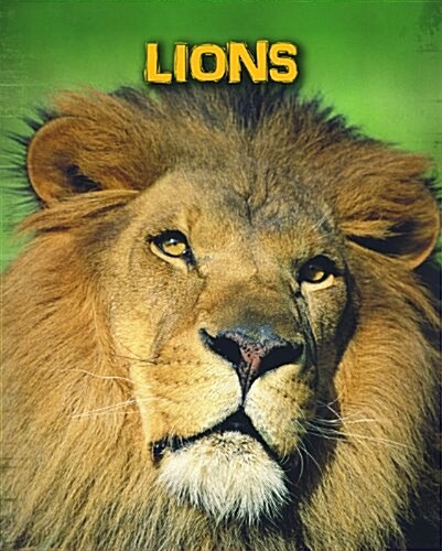Lions (Hardcover)