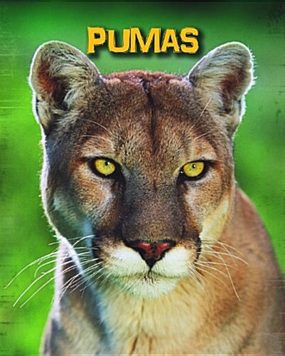 Pumas (Hardcover)
