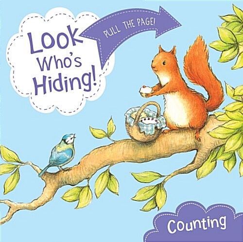 Look Whos Hiding: Counting (Board Book)