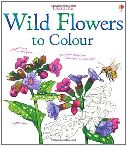 Wild Flowers to Colour (Paperback)