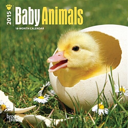 Baby Animals Mini Calendar 2015 (Paperback)