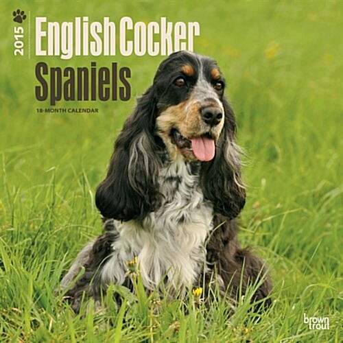 English Cocker Spaniels Wall Calend 2015 (Paperback)