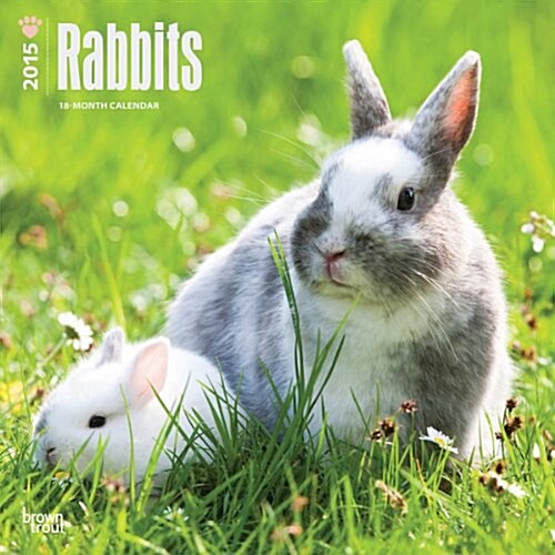 Rabbits Wall Calendar 2015 (Paperback)