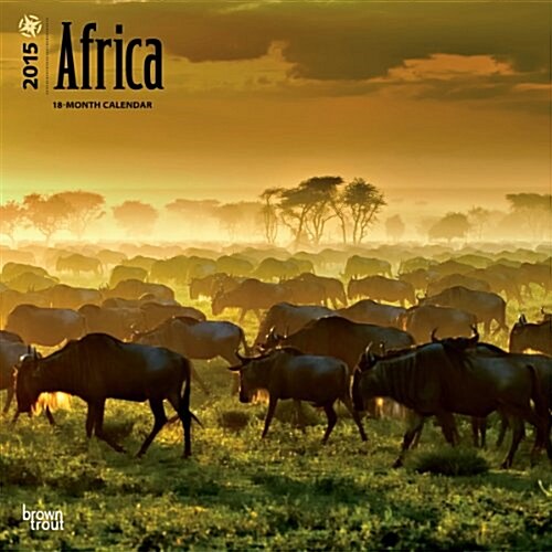 Africa Wall Calendar 2015 (Paperback)