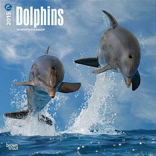 Dolphins Wall Calendar 2015 (Paperback)