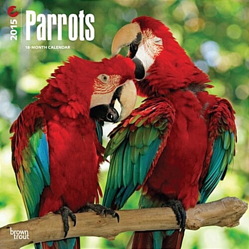 Parrots Wall Calendar 2015 (Paperback)